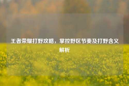 王者荣耀打野攻略，掌控野区节奏及打野含义解析