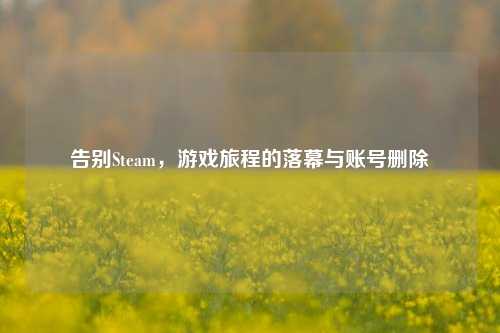 告别Steam，游戏旅程的落幕与账号删除