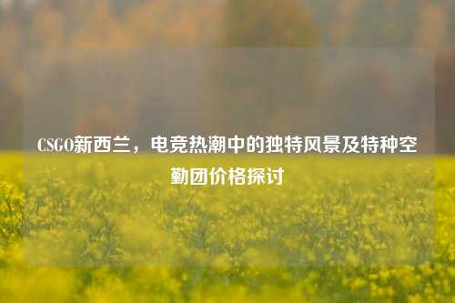 CSGO新西兰,电竞热潮中的独特风景及特种空勤团价格探讨