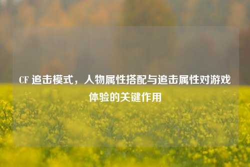 CF 追击模式，人物属性搭配与追击属性对游戏体验的关键作用