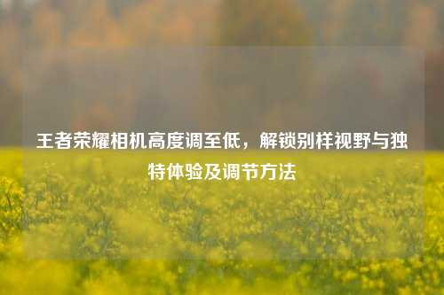 王者荣耀相机高度调至低，解锁别样视野与独特体验及调节方法