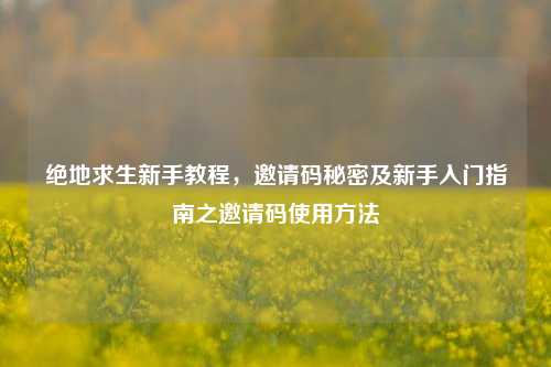 绝地求生新手教程，邀请码秘密及新手入门指南之邀请码使用方法