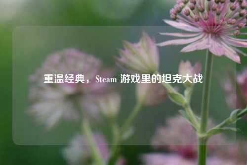 重温经典,Steam 游戏里的坦克大战