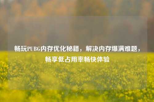 畅玩PUBG内存优化秘籍,解决内存爆满难题,畅享低占用率畅快体验