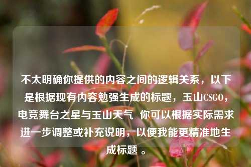 不太明确你提供的内容之间的逻辑关系,以下是根据现有内容勉强生成的标题,玉山CSGO,电竞舞台之星与玉山天气 你可以根据实际需求进一步调整或补充说明,以便我能更精准地生成标题 。