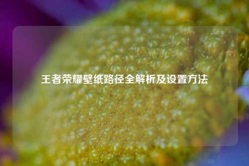 王者荣耀壁纸路径全解析及设置方法