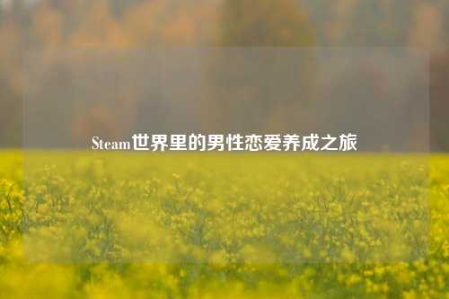 Steam世界里的男性恋爱养成之旅