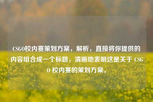 CSGO校内赛策划方案,解析,直接将你提供的内容组合成一个标题,清晰地表明这是关于 CSGO 校内赛的策划方案。