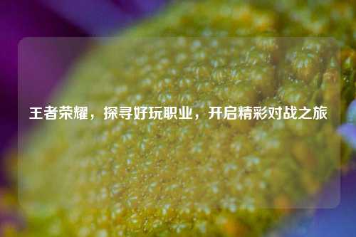 王者荣耀,探寻好玩职业,开启精彩对战之旅