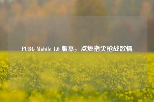 PUBG Mobile 1.0 版本，点燃指尖枪战激情