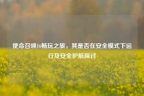 使命召唤16畅玩之旅,其是否在安全模式下运行及安全护航探讨