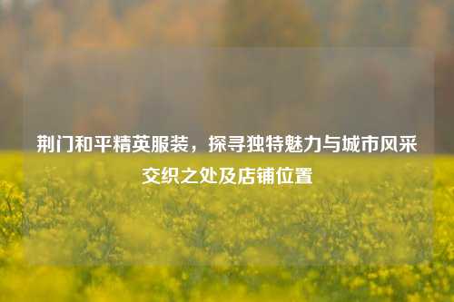 荆门和平精英服装,探寻独特魅力与城市风采交织之处及店铺位置