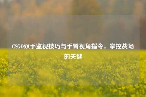 CSGO双手监视技巧与手臂视角指令,掌控战场的关键