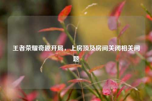 王者荣耀奇趣开局，上房顶及房间关闭相关问题