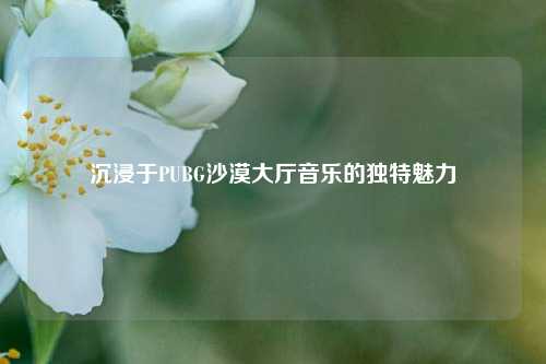 沉浸于PUBG沙漠大厅音乐的独特魅力