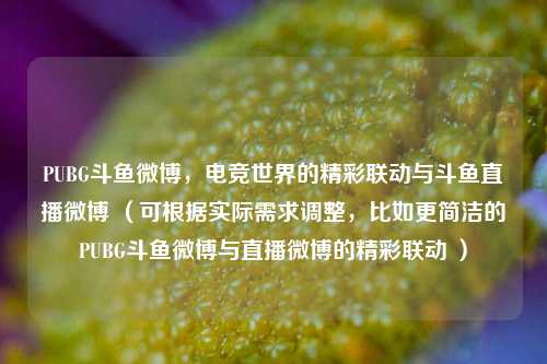 PUBG斗鱼微博，电竞世界的精彩联动与斗鱼直播微博 （可根据实际需求调整，比如更简洁的PUBG斗鱼微博与直播微博的精彩联动 ）