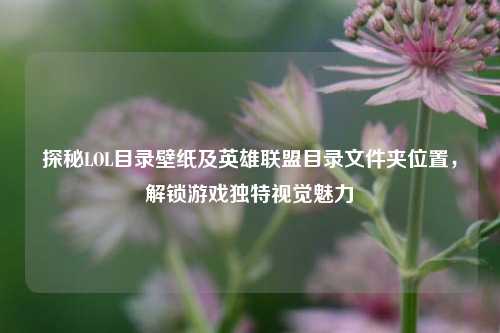 探秘LOL目录壁纸及英雄联盟目录文件夹位置,解锁游戏独特视觉魅力