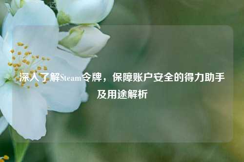 深入了解Steam令牌,保障账户安全的得力助手及用途解析
