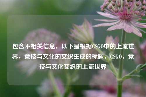 包含不相关信息,以下是根据CSGO中的上流世界,竞技与文化的交织生成的标题,CSGO,竞技与文化交织的上流世界