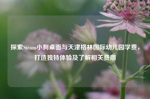 探索Steam小狗桌面与天津格林国际幼儿园学费,打造独特体验及了解相关费用