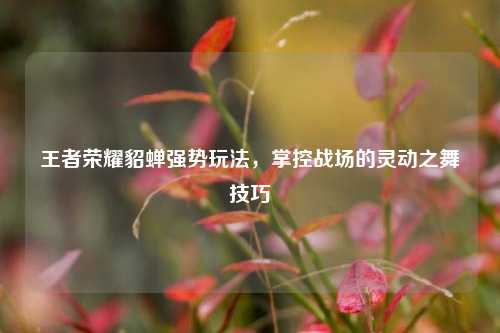 王者荣耀貂蝉强势玩法,掌控战场的灵动之舞技巧