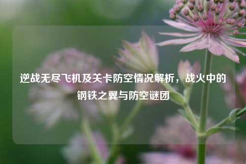 逆战无尽飞机及关卡防空情况解析，战火中的钢铁之翼与防空谜团