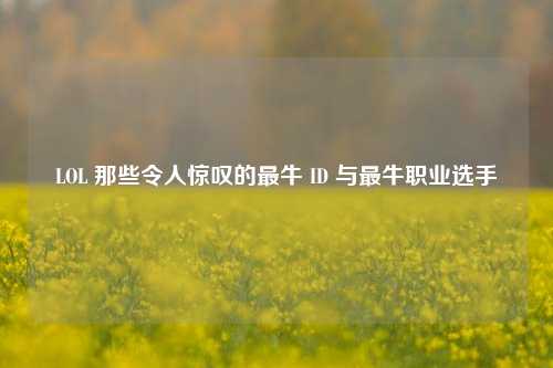 LOL 那些令人惊叹的最牛 ID 与最牛职业选手