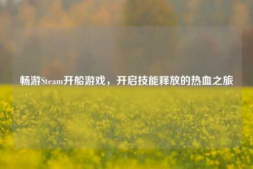 畅游Steam开船游戏,开启技能释放的热血之旅