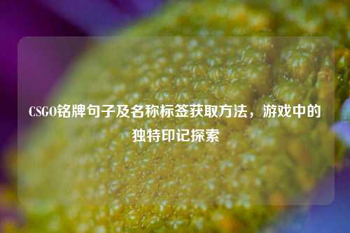 CSGO铭牌句子及名称标签获取方法,游戏中的独特印记探索