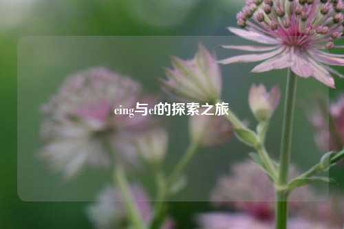 cing与cf的探索之旅
