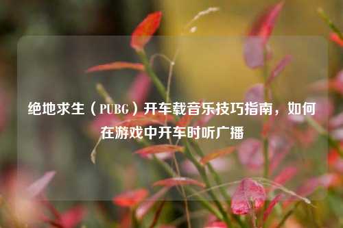 绝地求生(PUBG)开车载音乐技巧指南,如何在游戏中开车时听广播
