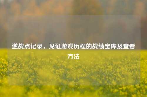 逆战点记录，见证游戏历程的战绩宝库及查看方法