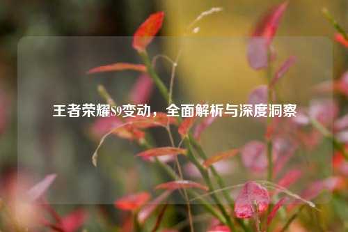 王者荣耀S9变动,全面解析与深度洞察
