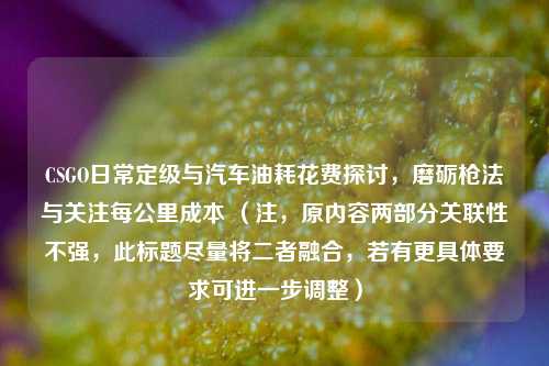 CSGO日常定级与汽车油耗花费探讨,磨砺枪法与关注每公里成本 (注,原内容两部分关联性不强,此标题尽量将二者融合,若有更具体要求可进一步调整)