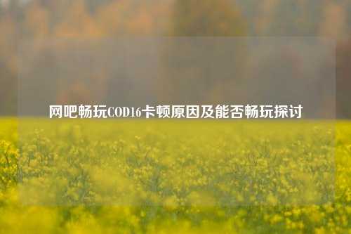 网吧畅玩COD16卡顿原因及能否畅玩探讨