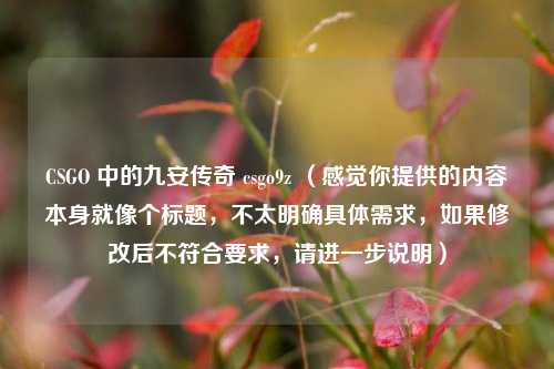CSGO 中的九安传奇 csgo9z （感觉你提供的内容本身就像个标题，不太明确具体需求，如果修改后不符合要求，请进一步说明）