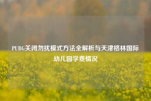 PUBG关闭勿扰模式方法全解析与天津格林国际幼儿园学费情况