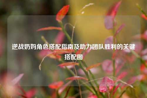 逆战奶妈角色搭配指南及助力团队胜利的关键搭配图