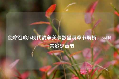 使命召唤16现代战争关卡数量及章节解析,cod16一共多少章节