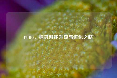 PUBG，探寻游戏升级与进化之路