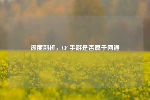 深度剖析,CF 手游是否属于网通