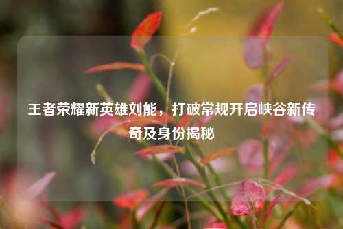 王者荣耀新英雄刘能，打破常规开启峡谷新传奇及身份揭秘