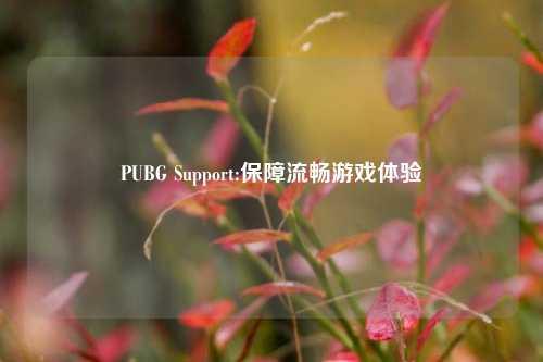 PUBG Support:保障流畅游戏体验