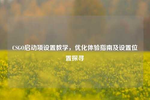 CSGO启动项设置教学，优化体验指南及设置位置探寻