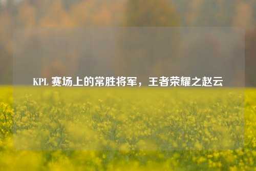 KPL 赛场上的常胜将军,王者荣耀之赵云