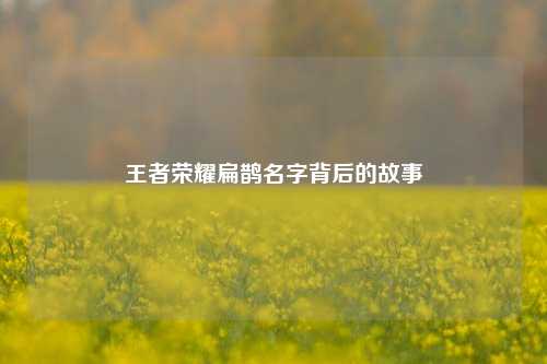 王者荣耀扁鹊名字背后的故事