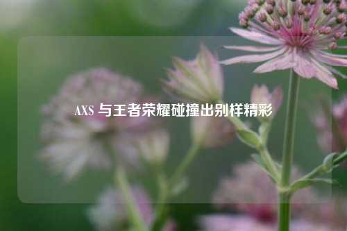 AXS 与王者荣耀碰撞出别样精彩