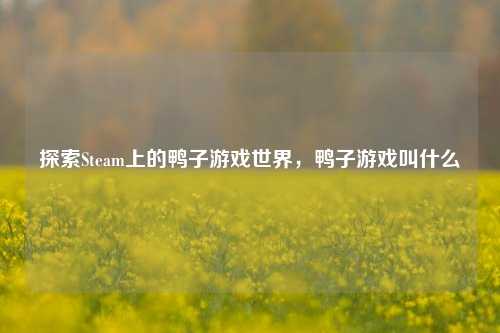探索Steam上的鸭子游戏世界,鸭子游戏叫什么
