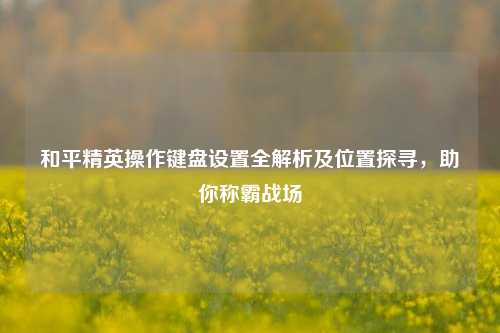 和平精英操作键盘设置全解析及位置探寻，助你称霸战场
