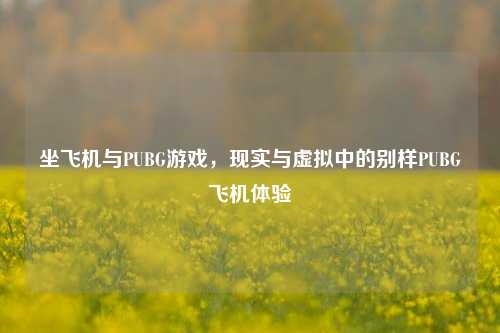 坐飞机与PUBG游戏,现实与虚拟中的别样PUBG飞机体验